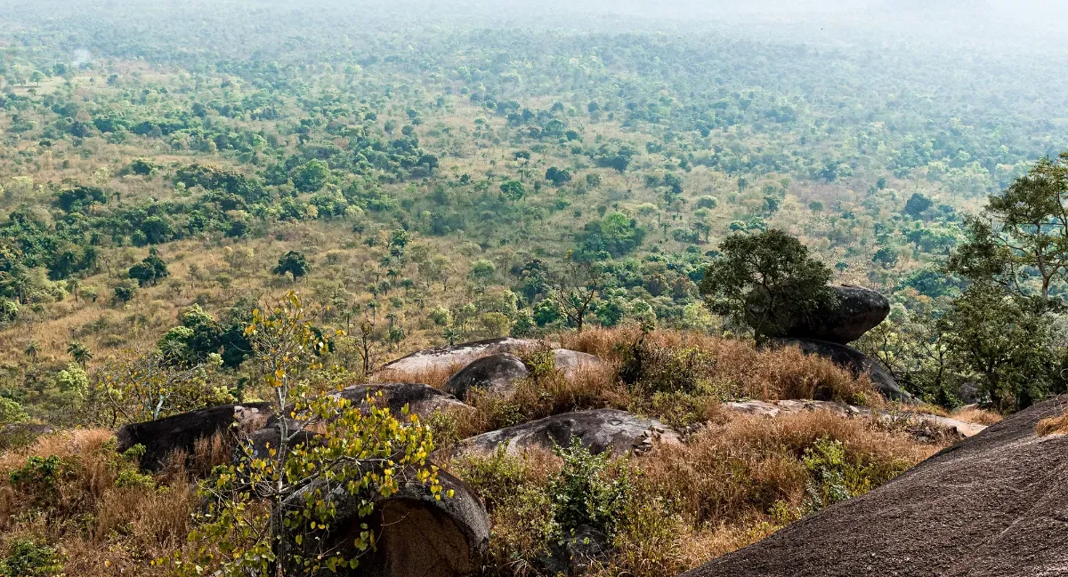 The Great Green Wall helps combat desertification