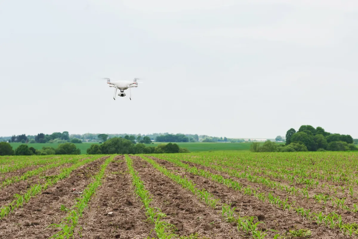 capturing a series of overlapping images with drones