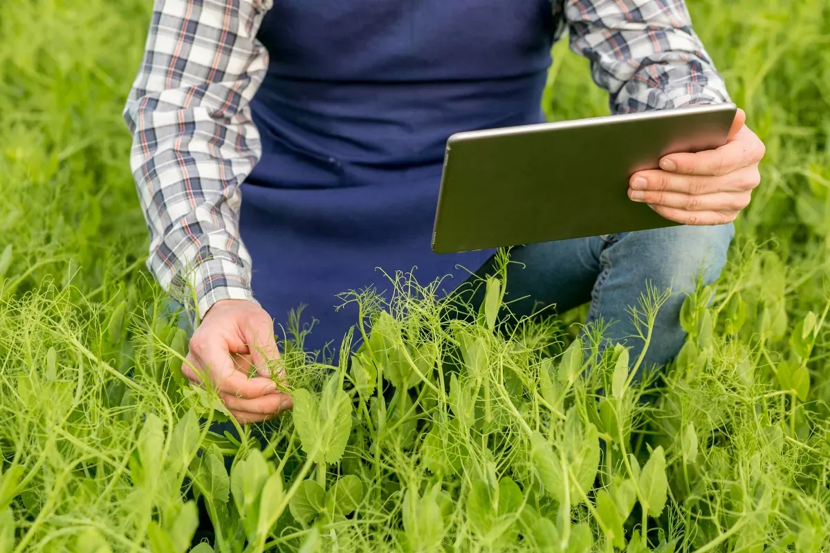 GIS technology benefits farmers
