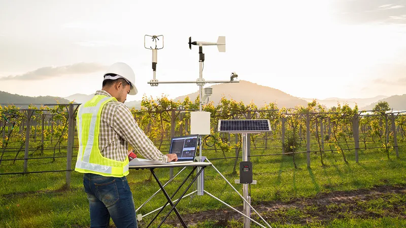 Environmental IoT sensors in a vineyard