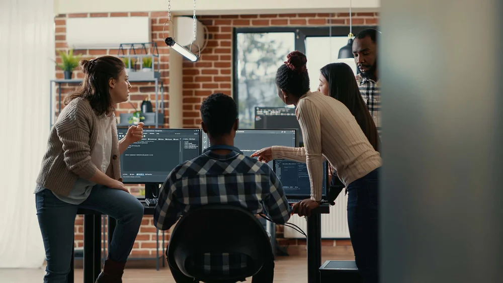 Geospatial consultants and software developers planning a build