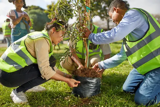 Revegetation Tool