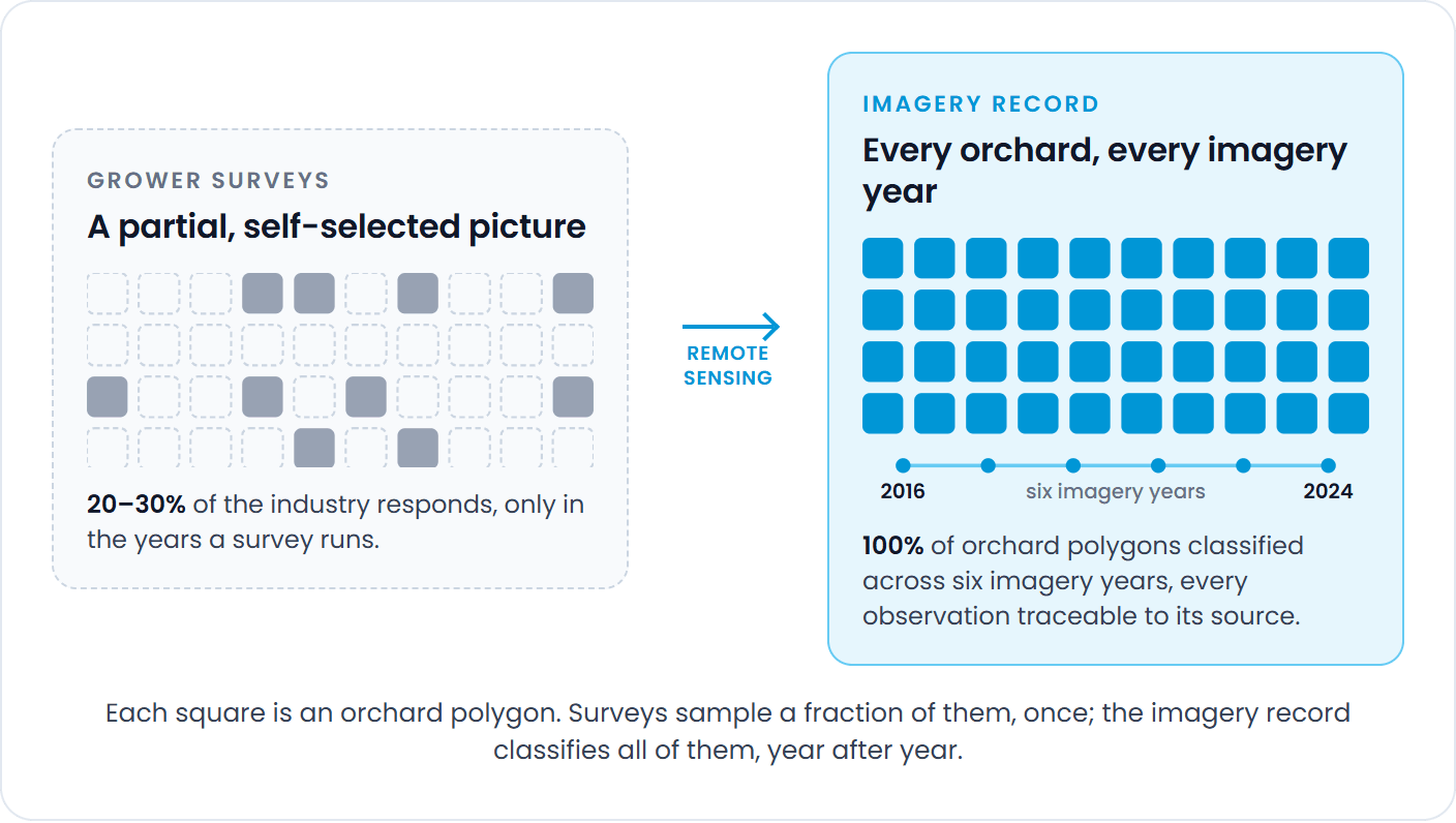 Grower surveys versus the imagery record. Left, grower surveys: a grid of forty orchard polygons with only a quarter filled in, a partial, self-selected picture, 20 to 30 per cent of the industry responding only in the years a survey runs. An arrow labelled remote sensing leads to the right panel, the imagery record: every orchard polygon filled in, with a timeline of six imagery years from 2016 to 2024, 100 per cent of orchard polygons classified across six imagery years with every observation traceable to its source.